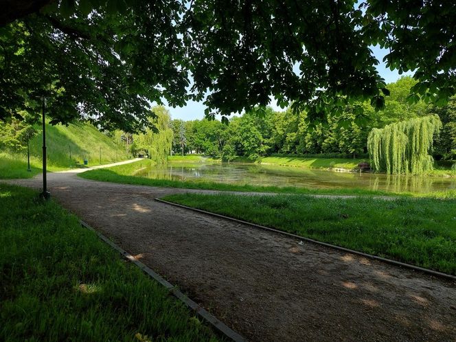 Park Miejski w Zamościu