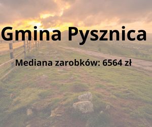 W tych gminach na Podkarpaciu zarabia się najwięcej 