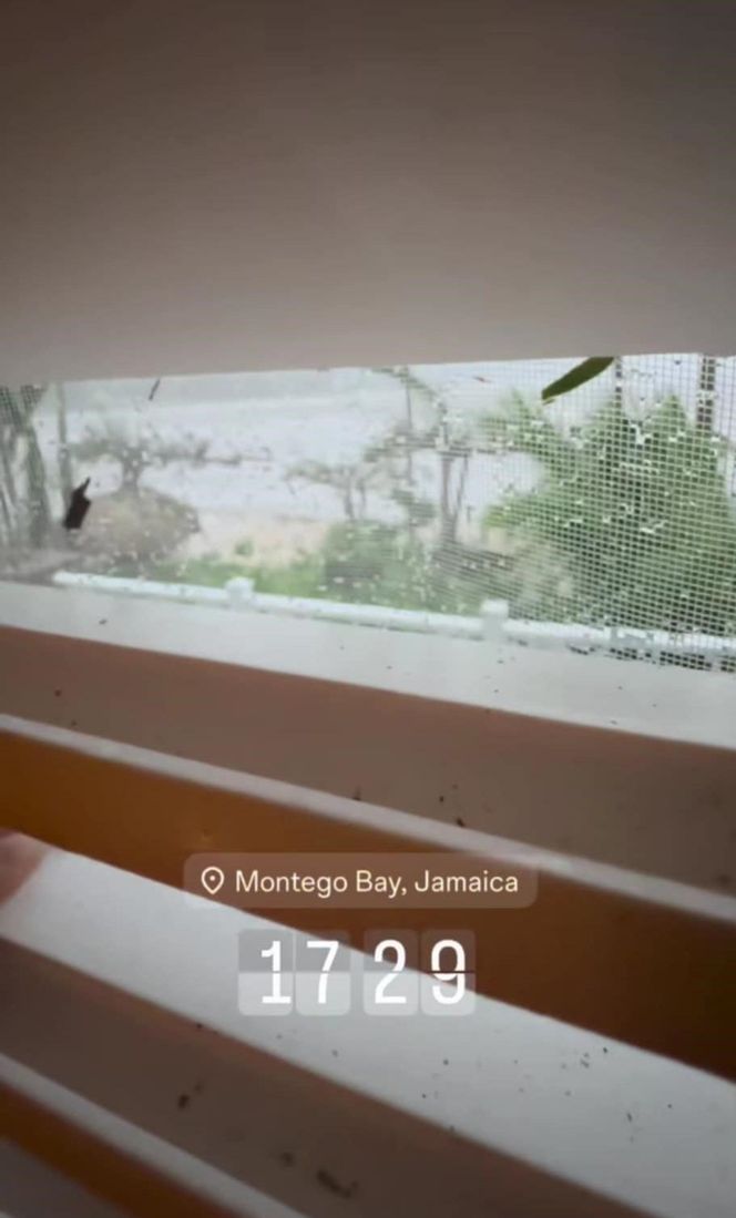 Aleksandra Żebrowska