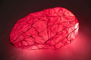 Różem migocze mokradło - dyplom magisterski proj. Gabriela Piwar