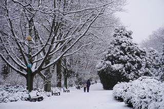Białystok pod śniegiem. Tak prezentuje się zasypana stolica Podlasia