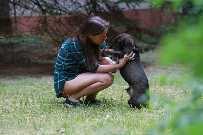 Anna Maria Żukowska: pies Moniki Jaruzelskiej chciał zgwałcić mojego pieska