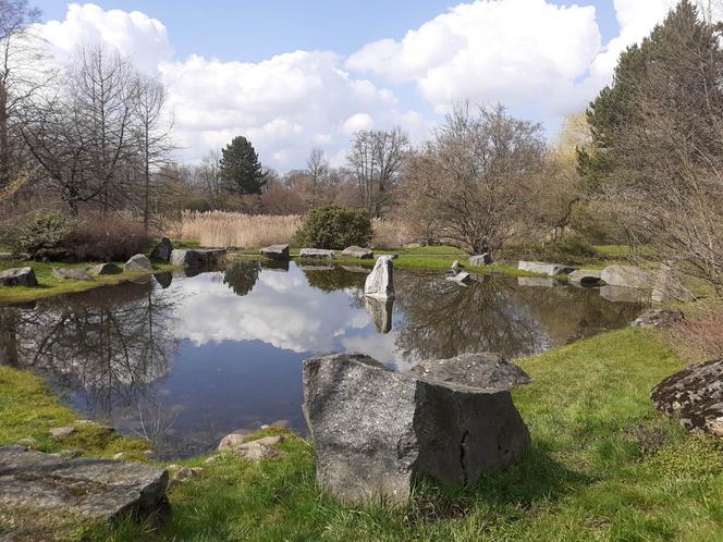 Łódzki Ogród Botaniczny obchodzi 50-lecie. To miejsce rozkwita i czeka na gości