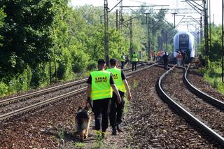 Na Śląsku pociąg śmiertelnie potrącił nastolatka