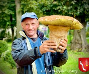 Grzyb gigant znaleziony na Podkarpaciu. Prawdziwek waży ponad 2 kilogramy! 