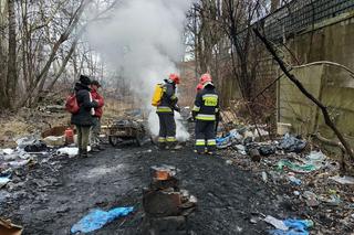 Poznań: Podsumowano sezon grzewczy! Ile mandatów wypisali strażnicy?