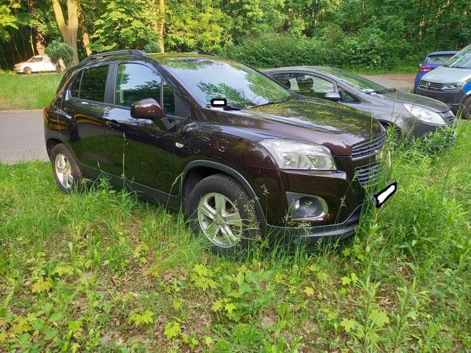 "Najlepsi" kierowcy są w Katowicach. A jak świetnie parkują! I jeszcze są potem zdziwieni mandatami