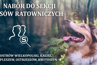 Grupa Poszukiwawczo-Ratownicza Szukamy i Ratujemy wznawia nabór do sekcji psów ratowniczych 