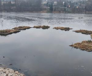 Przebudowa grobli na starachowickim Pasterniku