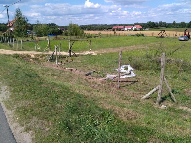 Poseł PiS Łukasz Zbonikowski spowodował wypadek i wrzeszczał, zamiast pomóc ofiarom