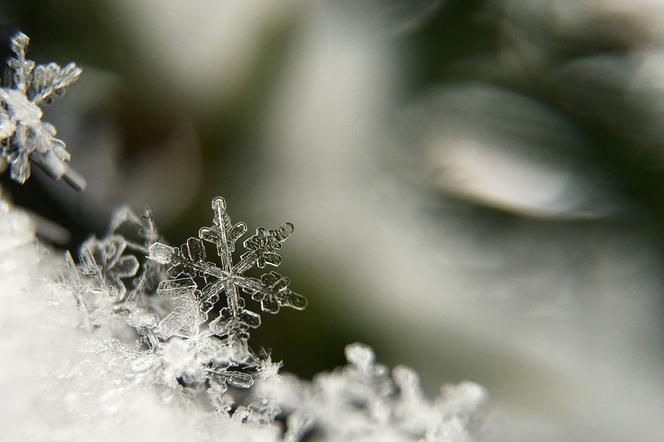 Zima nie odpuszcza! Śnieg i mróz w warmińsko-mazurskim! [PROGNOZA POGODY, 17 lutego]