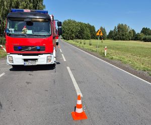 Śmiertelny wypadek pod Łęczycą. 28-letni motocyklista uderzył w tył tira [ZDJĘCIA]