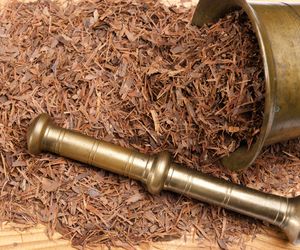 Lapacho, czyli herbata Inków - działanie i właściwości lapacho