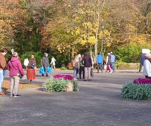 1 listopada na Cmentarzu Centralnym w Szczecinie