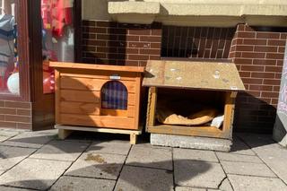 Kot Gacek i jego nowy domek