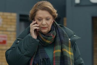 Koniec Barw szczęścia. Bezlitosny bank nie odpuści Józefinie! Będzie mieć kredyt na 5 milionów! Zbankrutuje?  - ZDJĘCIA, ZWIASTUN