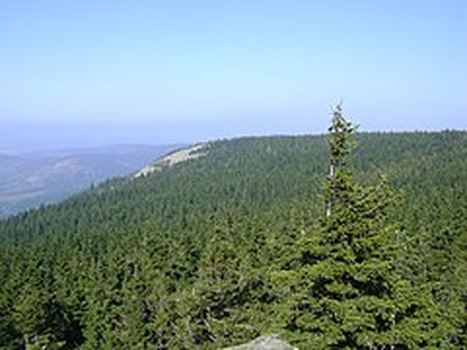 18. Skalnik