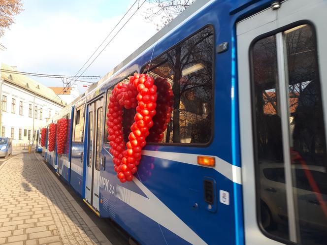 Specjalny tramwaj i... walka o budki lęgowe czyli krakowianie świętowali walentynki