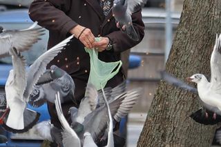 Anna Chodakowska. Gwiazda Labiryntu wśród ptaków