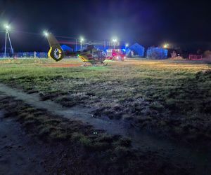 Wypadek w Podebłociu. Auto zderzyło się z łosiem