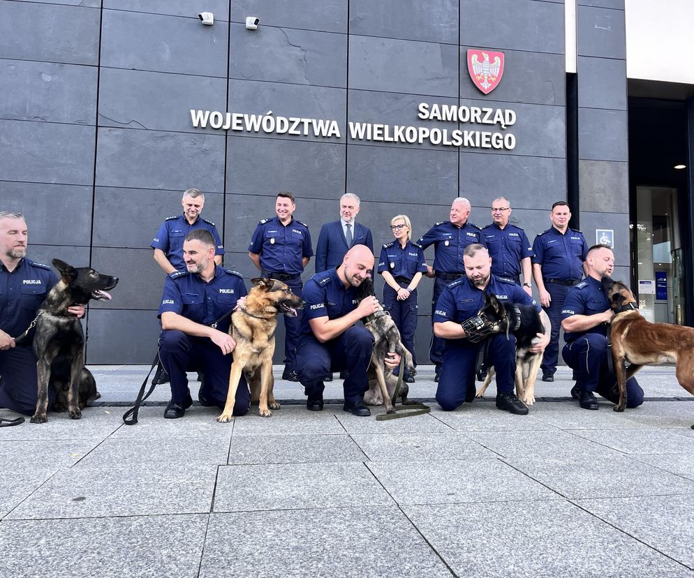 Gala zakończenia wojewódzkich zawodów kynologicznych