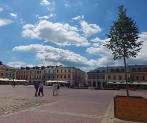 Lipy na Rynku Wielkim
