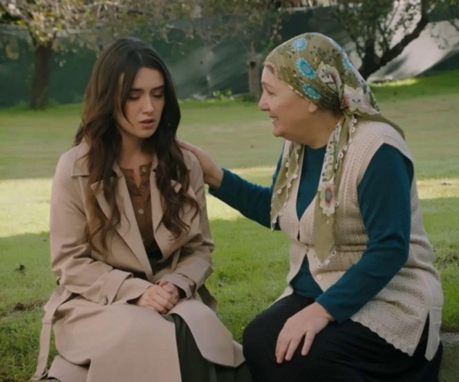 Wichrowe wzgórze odc. 292