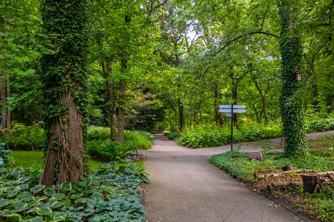 7 najładniejszych ogrodów botanicznych w Polsce. Kiedy je odwiedzić i gdzie są?