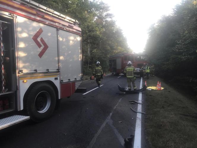 Śmiertelny wypadek w Brzezinach