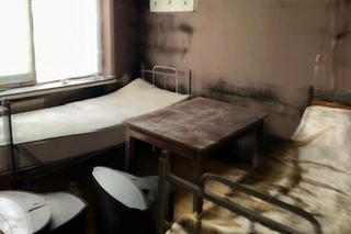 Emeryt umierał w swoim łóżku. Wokół stado psów. Gdy weszli do mieszkania, ich oczom ukazał się przerażający widok