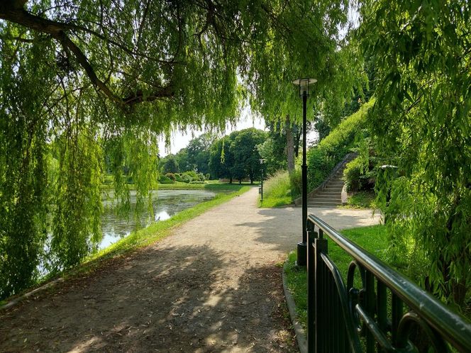Park Miejski w Zamościu