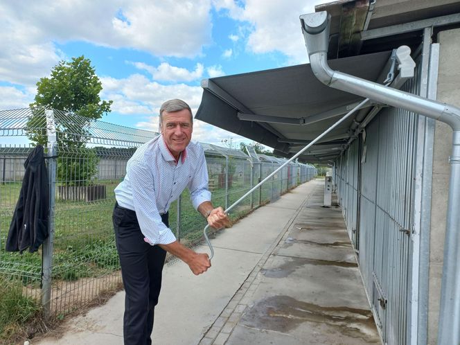 W schronisku dla zwierząt w Henrykowie koło Leszna montują markizy. Dadzą psom cień w gorące dni