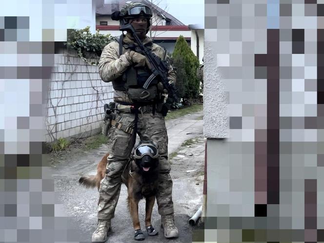 Kilkanaście osób zatrzymanych! Potężna akcja kryminalnych uderzyła w gang parszywych oszustów