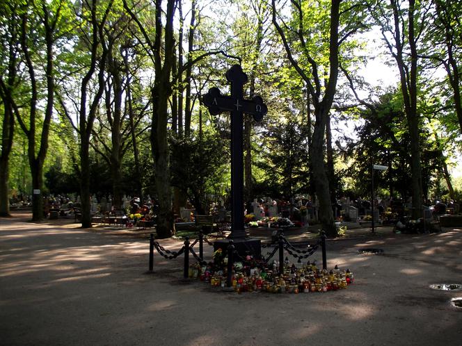 Zabytkowy krzyż na Cmentarzu Centralnym w Szczecinie