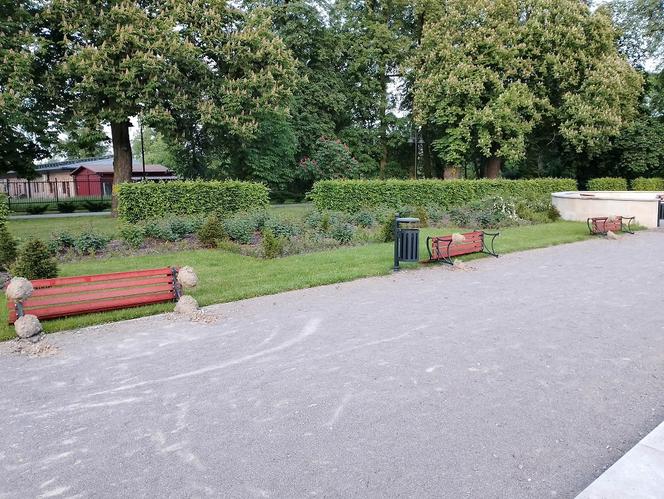 Lubelskie: 27-latek zniszczył ławki w parku. Sam nie wie dlaczego 