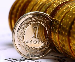 Wartość spółek z udziałem Skarbu Państwa