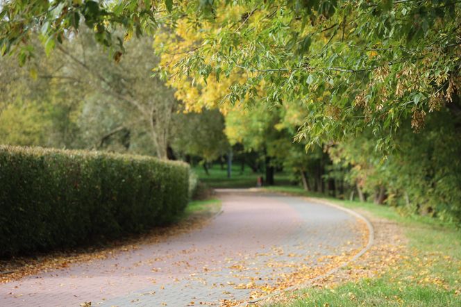 Jesienna odsłona terenów nad Bystrzycą w Lublinie. Tak się prezentuje w październiku