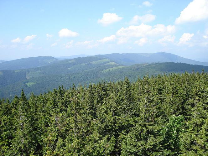 Beskid Śląski