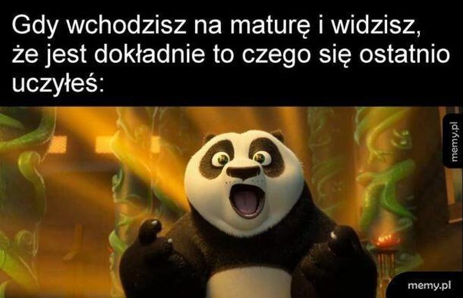 Memy o maturze