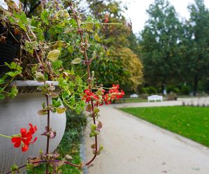 Ogród Saski w Lublinie w jesiennej odsłonie