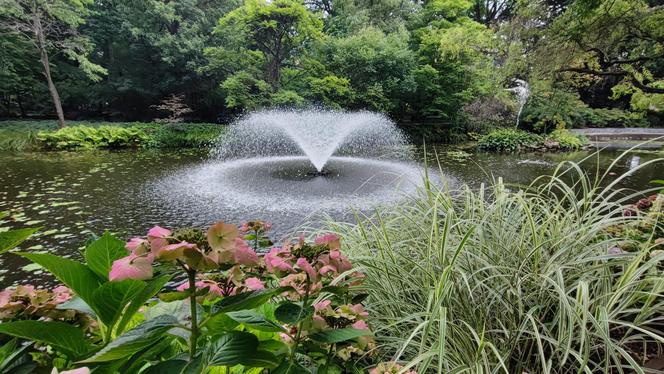 To jeden z najpiękniejszych ogrodów botanicznych w Polsce. Znajduje się na Dolnym Śląsku 