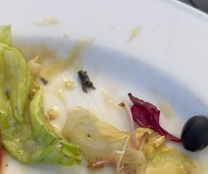 Sylwia Bomba ostro o restauracji w Iławie. W sałatce znalazła robaka. Personel miał zrzucić na nią winę [ZDJĘCIA]