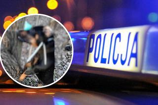 Lublin: ZWYRODNIALEC POWIESIŁ psa na drzewie. Szukają sprawcy! [DRASTYCZNE ZDJĘCIA]