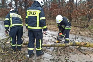 Niż Eunice w Grudziądzu. Straty są ogomne!