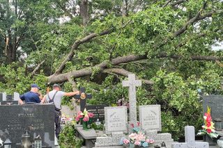 Burze nad województwem łódzkim. Strażacy interweniowali blisko 240 razy