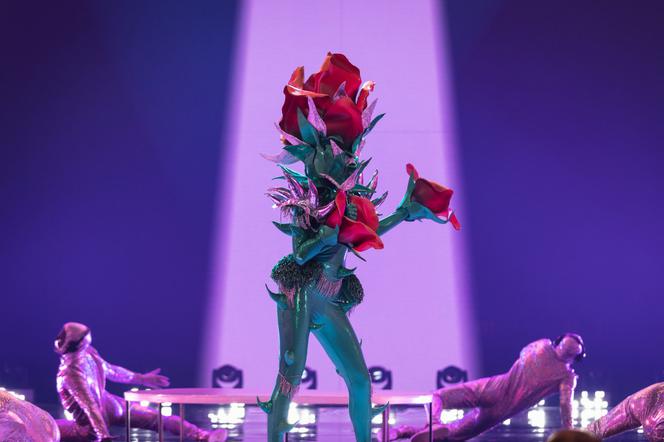 Mask Singer TVN. Kto pod maską Róży?