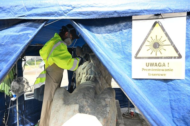 Renowacja koszalińskich lwów