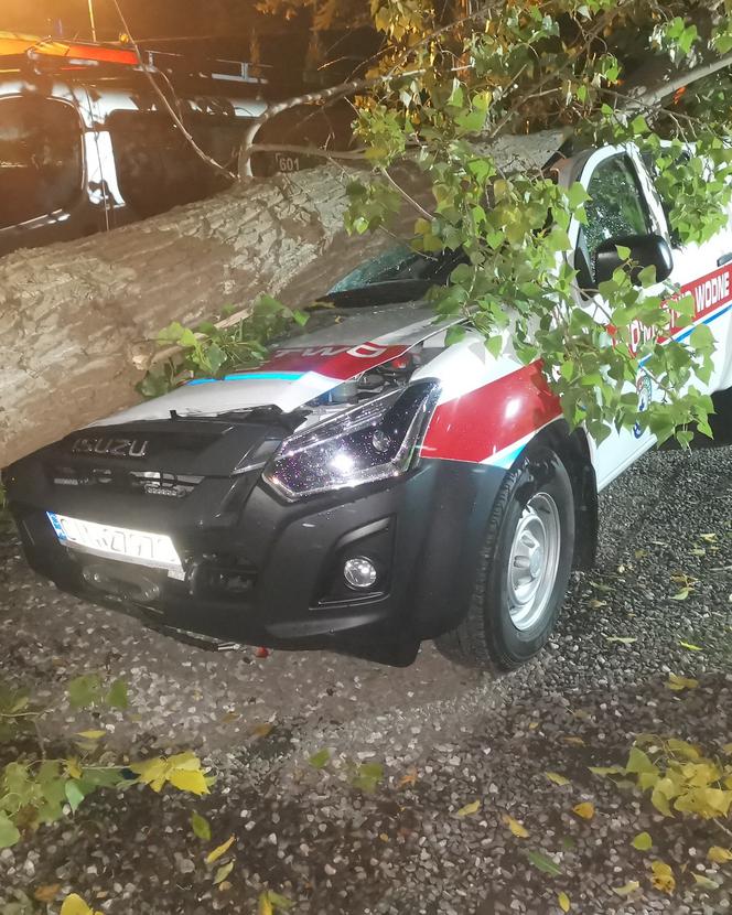 Powalone drzewo zniszczyło auto Nadgoplańskiego WOPR Kruszwica