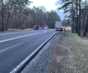 Drzewo runęło na jadące pojazdy na DK 10 pod Bydgoszczą! O krok od tragedii