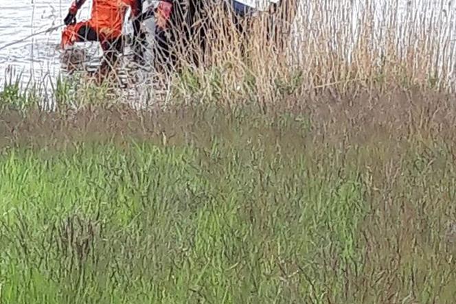 Tragedia na jeziorze Pogoria IV.  Samochód wjechał do wody, zginął 60-letni kierowca